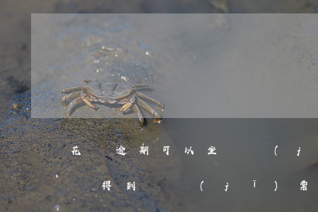 花唄逾期可以坐飛機(jī)么(花唄逾期能買得到飛機(jī)票、火車票嗎?)
